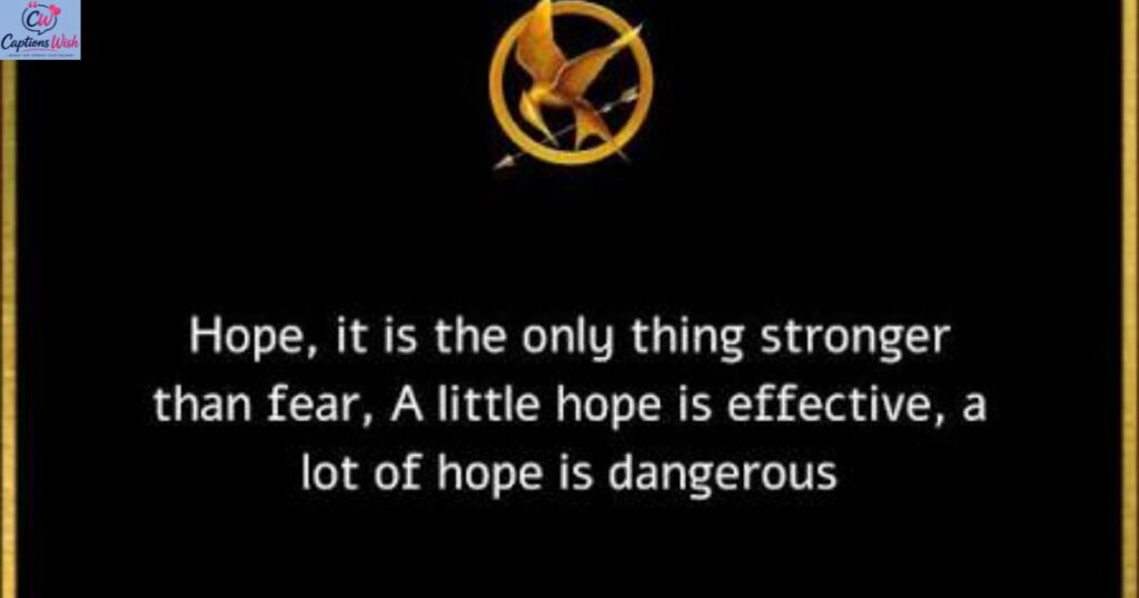 hunger-games-captions-for-fan-photos