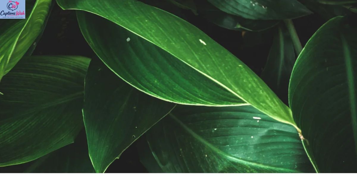 rebaralty-green-a-fresh-power-color-for-modern-style-and-creative-branding